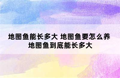 地图鱼能长多大 地图鱼要怎么养 地图鱼到底能长多大